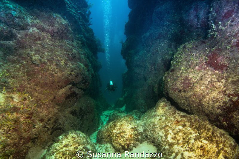 Banco Chinchorro by Susanna Randazzo 
