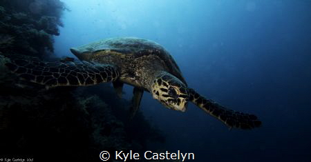 Took this shot a week or so back In Mayotte S pass by Kyle Castelyn 