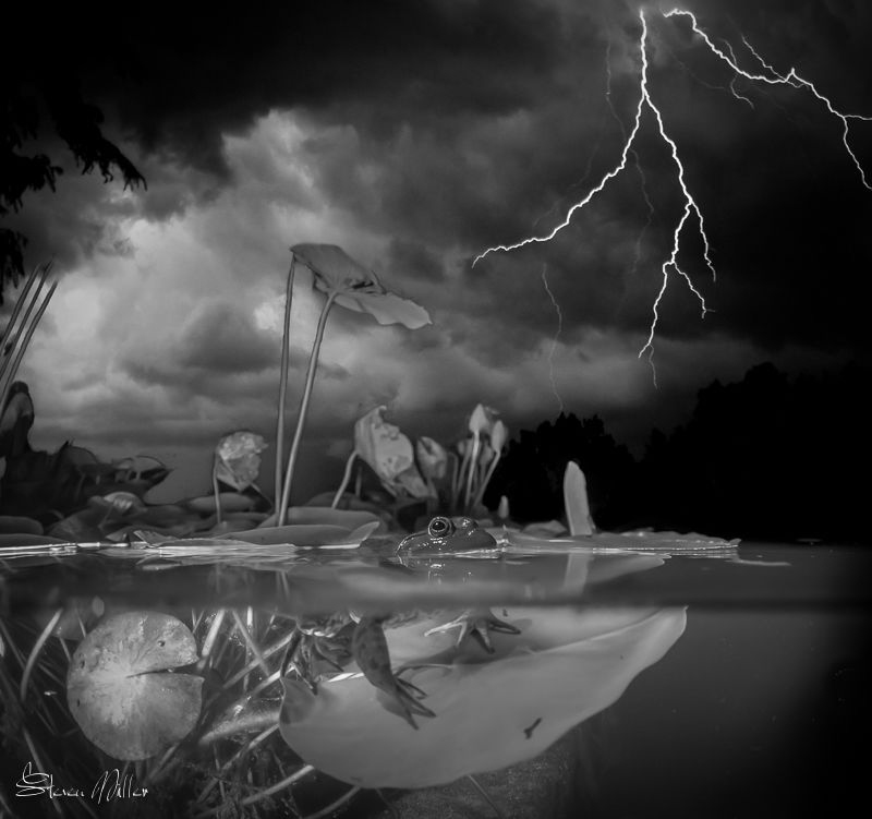 Drawing and Painting, Layers and Masks, going overboard. by Steven Miller 