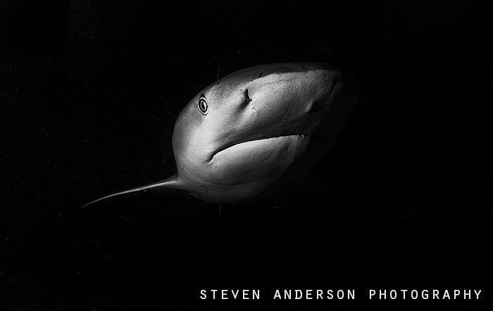 The darkness of night brings on another side of peaceful ... by Steven Anderson 