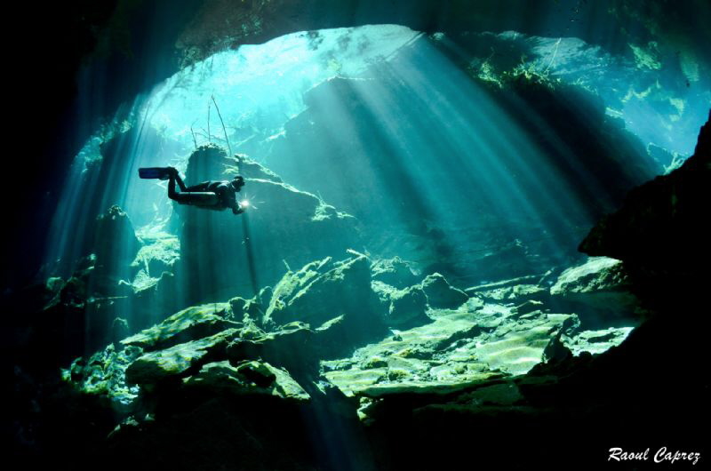 Diving in the sun rays by Raoul Caprez 