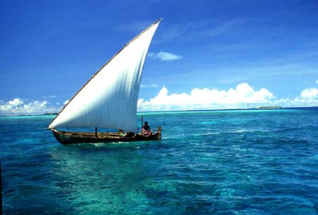 FELLUCA! Cruising toward a balmy off Bandos Island, this ... by Rick Tegeler 