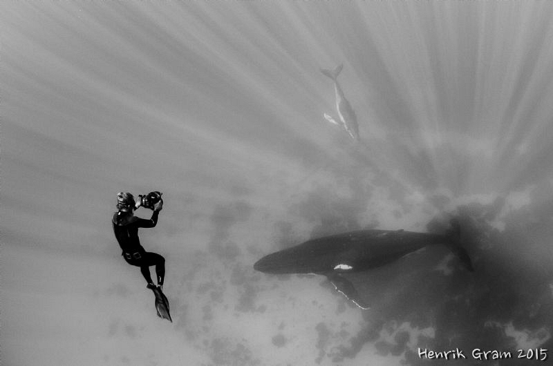 Humpback and Photographer by Henrik Gram Rasmussen 