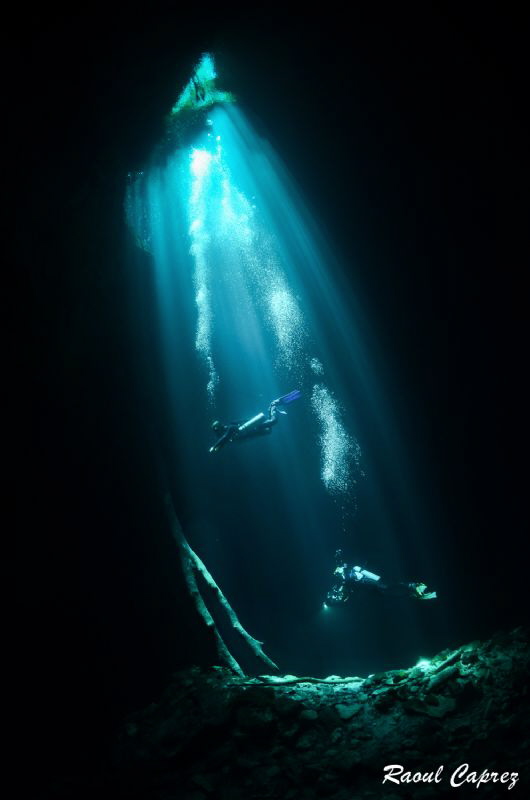 Buddies in the light by Raoul Caprez 