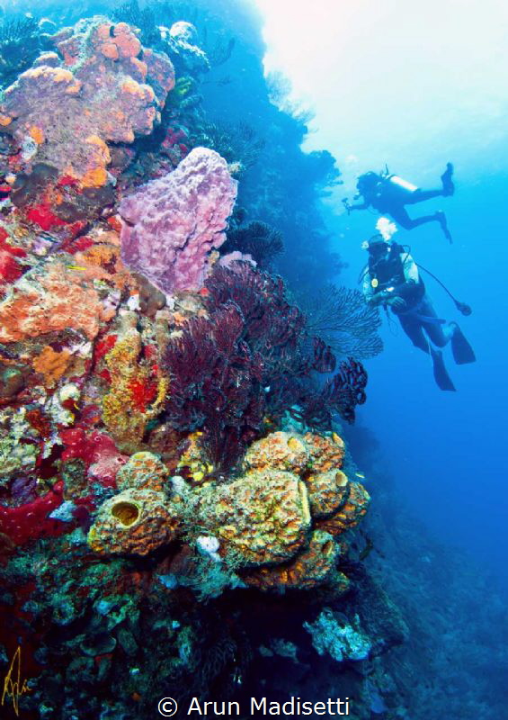 Generic reef scenic post tropical Storm Erica by Arun Madisetti 