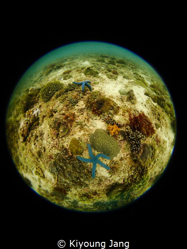 Earth~ by Kiyoung Jang 
