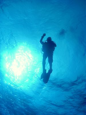 A Beautiful Day for Diving! The photo was taken using a w... by Steven Anderson 