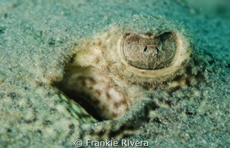 Into the eye by Frankie Rivera 