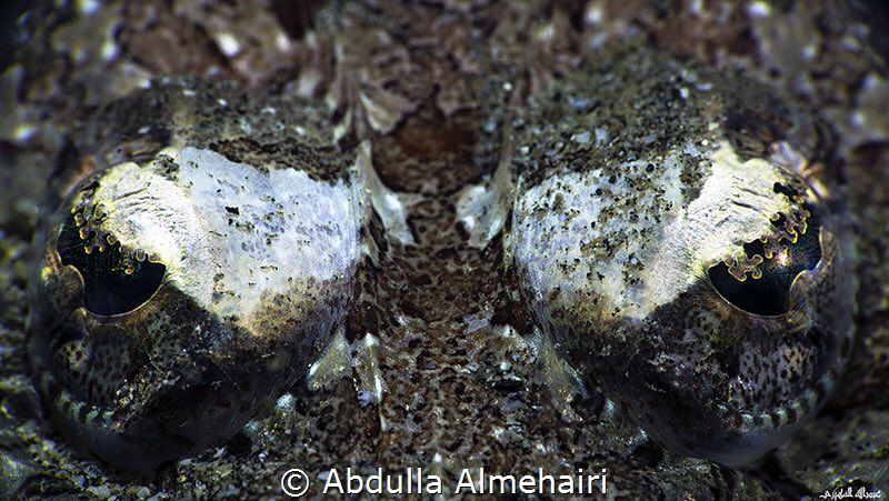 EYE by Abdulla Almehairi 