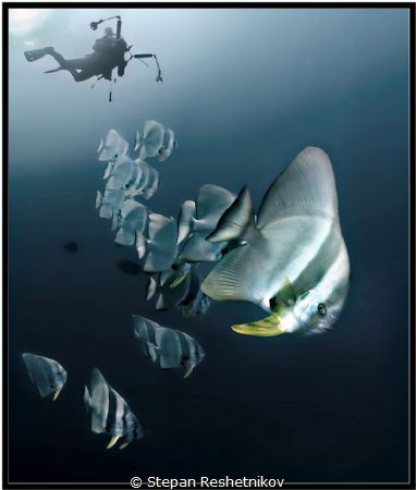 Angels of wrecks by Stepan Reshetnikov 