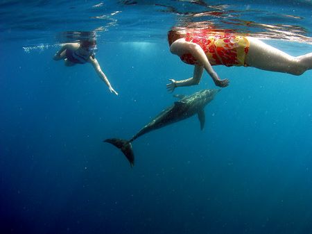 We had loads of fun with this group of spinner dolphins. by Martin Spragg 