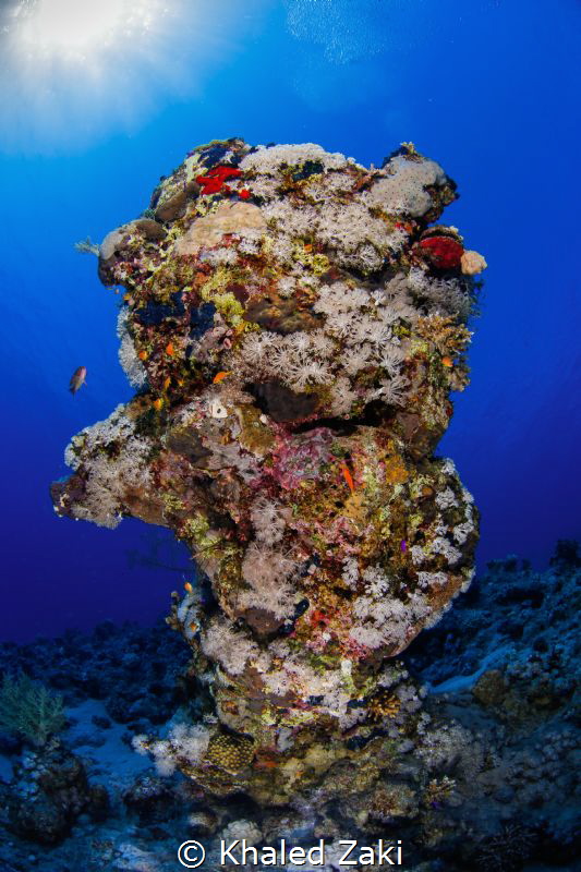 Sharm Elshaikh Egypt by Khaled Zaki 