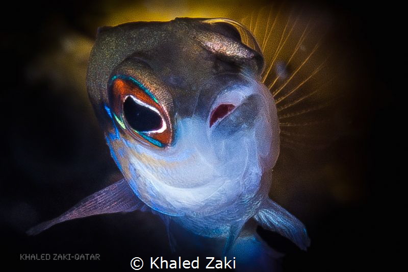 Gulf Dotty-Qatar by Khaled Zaki 