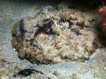 It's a rock with an eye!!! and a mouth...
 by Stephan Gosselin 