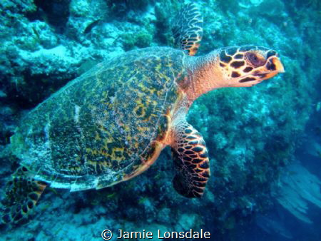 Taken off Medjumbe island, in the quirimbas archipelago. by Jamie Lonsdale 