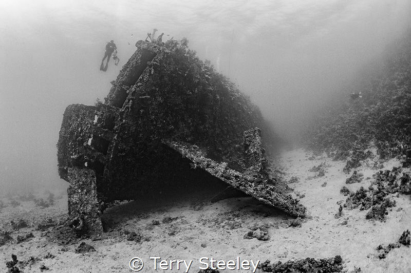Sunk in bad weather in 1869, the Carnatic is the oldest d... by Terry Steeley 