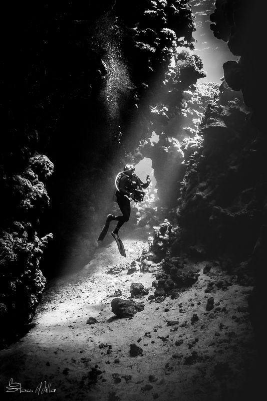 Follow the light, when it blinds you have found the right... by Steven Miller 