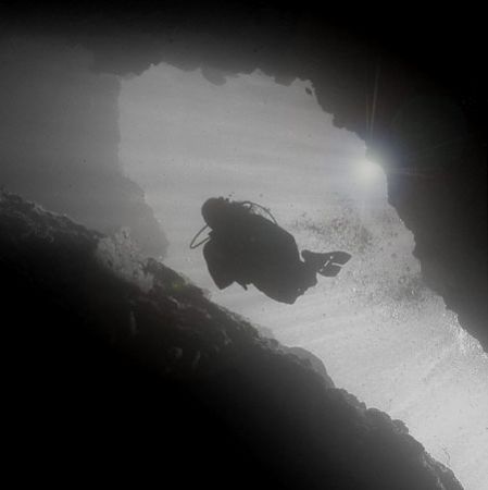 Turtle wall- Palau by Martin Dalsaso 