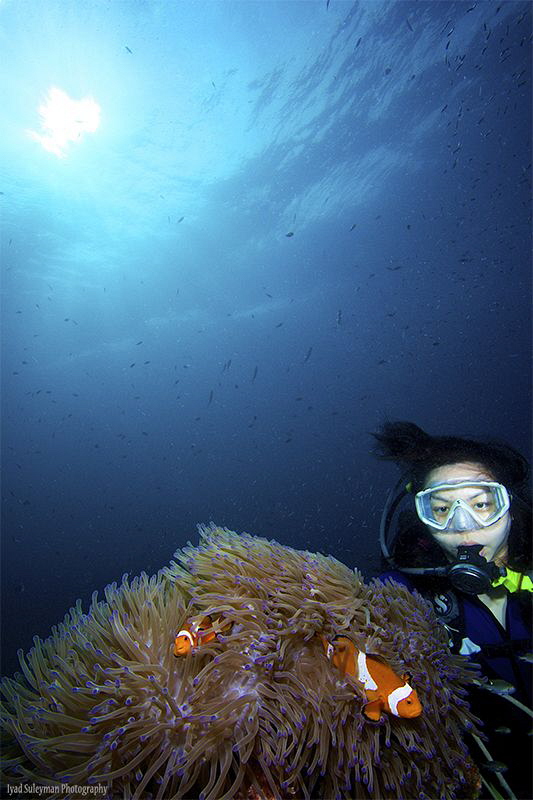 Seow & Anemonefish by Iyad Suleyman 