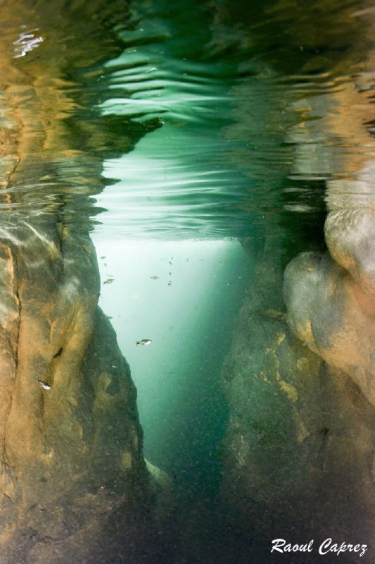 Brazilien river by Raoul Caprez 