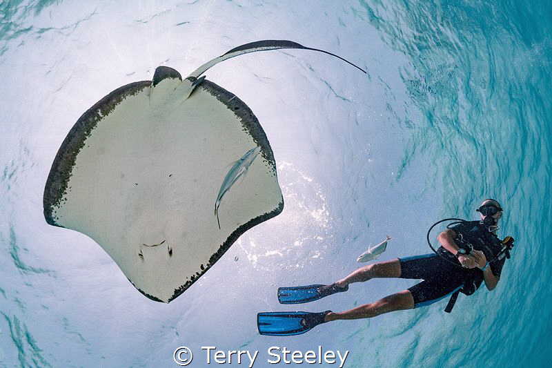 'The voice of the sea speaks to the soul'.
 by Terry Steeley 