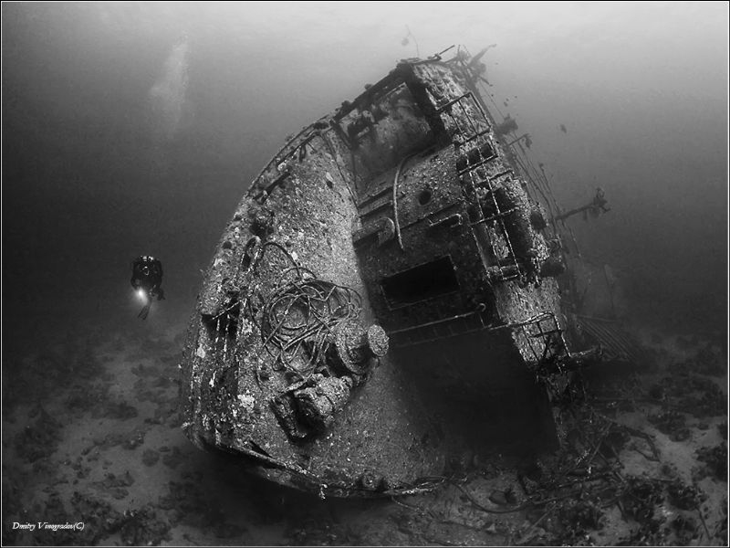 Kimon-M
Red Sea. Abu Nuhas reef. by Dmitry Vinogradov 
