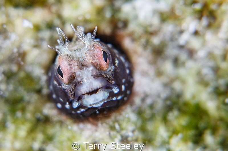 'Small is beautiful'. I'm a huge fan of the small things ... by Terry Steeley 