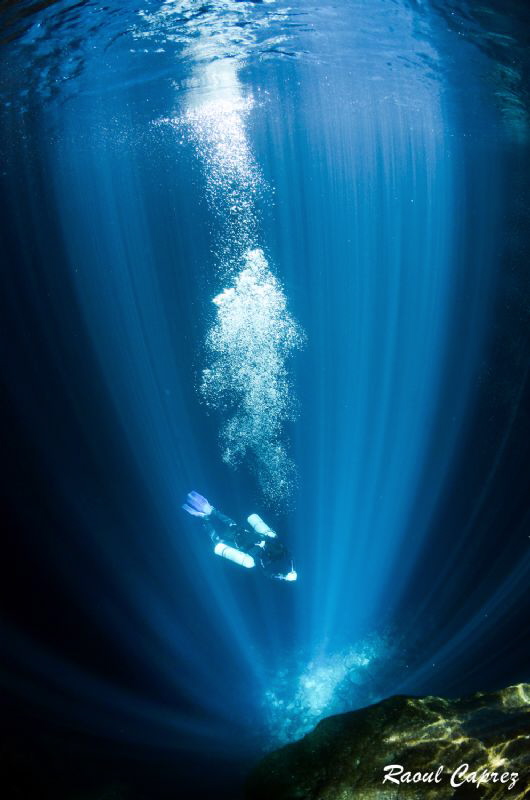 Diving in the sunlight by Raoul Caprez 