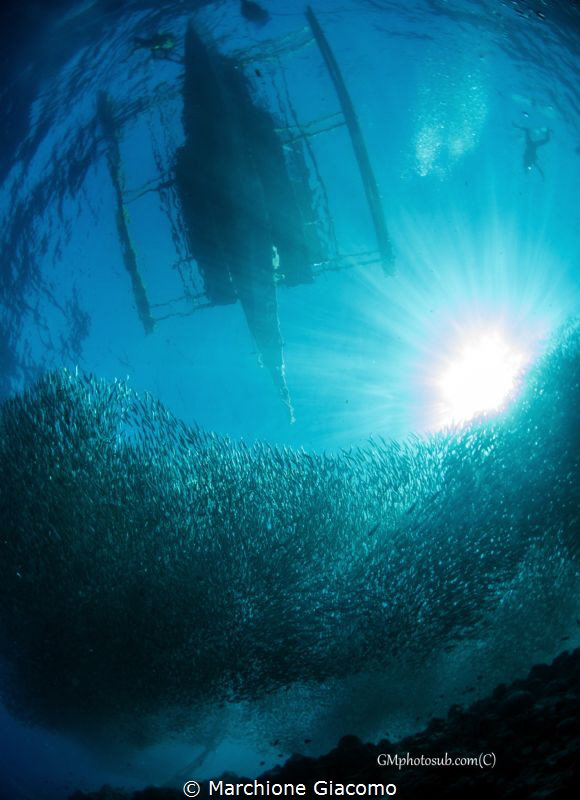 Underwater Vision
Moal Boal . Philippines
Nikon D800E ,... by Marchione Giacomo 