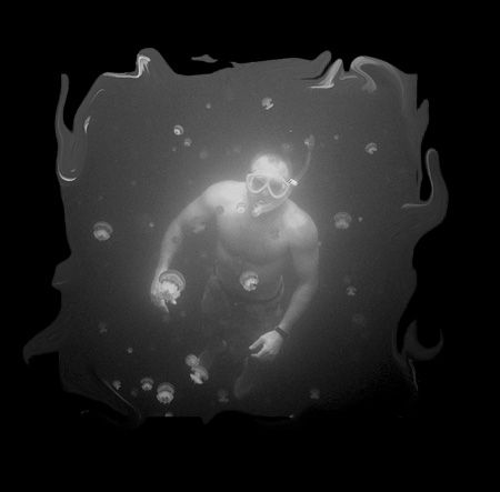 Jellyfish Lake Palau by Martin Dalsaso 