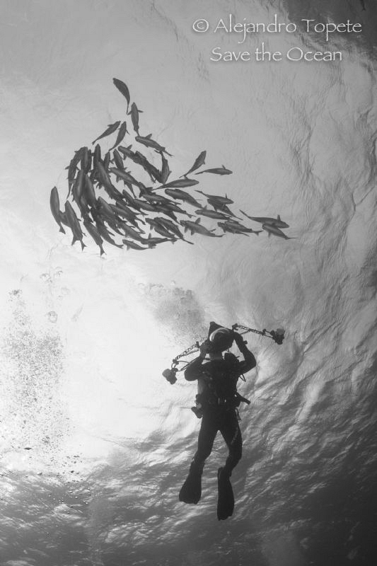 inspired photographer, Wolf Island Galapagos by Alejandro Topete 