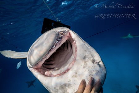 This is the world famous Hook. she got a little too close... by Michael Dornellas 