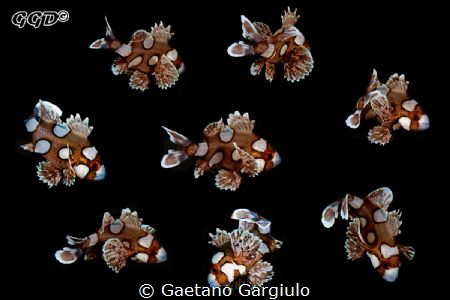 "Sweet-dancer-lipps": composed from rapid shot-burst of t... by Gaetano Gargiulo 