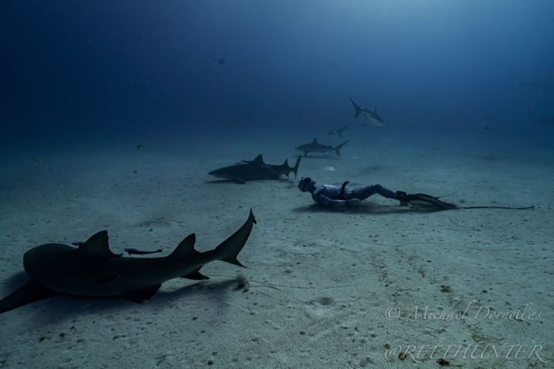 Laying on the bottom of their world by Michael Dornellas 