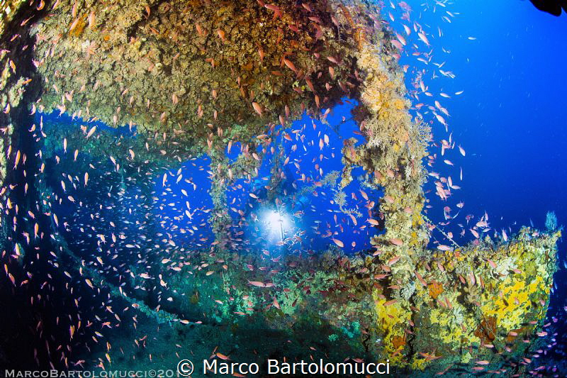 Henry Desprez Wreck by Marco Bartolomucci 