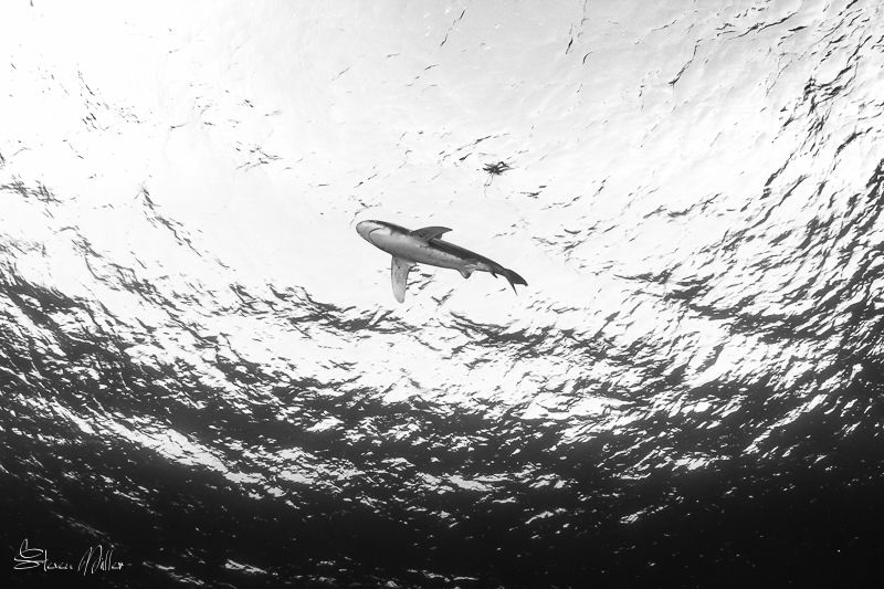 Light isn't always color.. even at these distances a stro... by Steven Miller 
