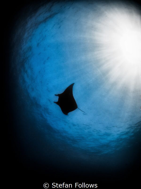 "You are free and that is why you are lost." Franz Kafka.... by Stefan Follows 