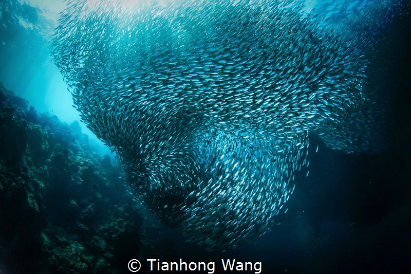 the end of the last year i took this amazing pic at moalb... by Tianhong Wang 