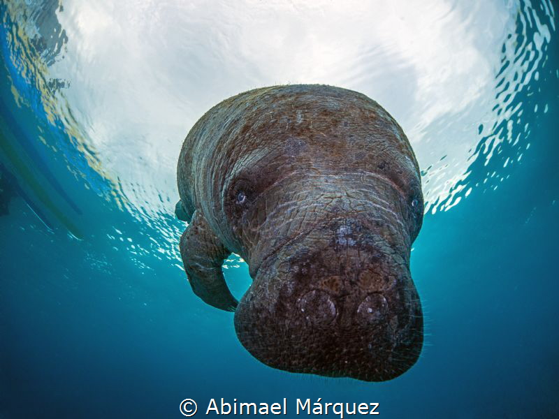 Close Encounter by Abimael Márquez 