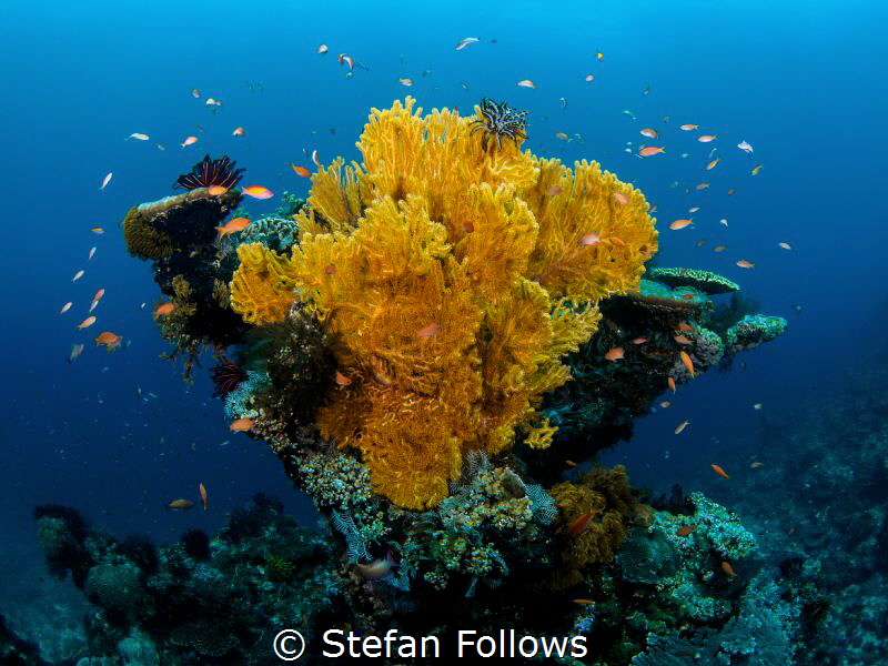 Beauteous Bali. Gilli Mimpang, Bali by Stefan Follows 