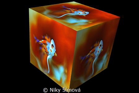 .. by Niky Šímová 