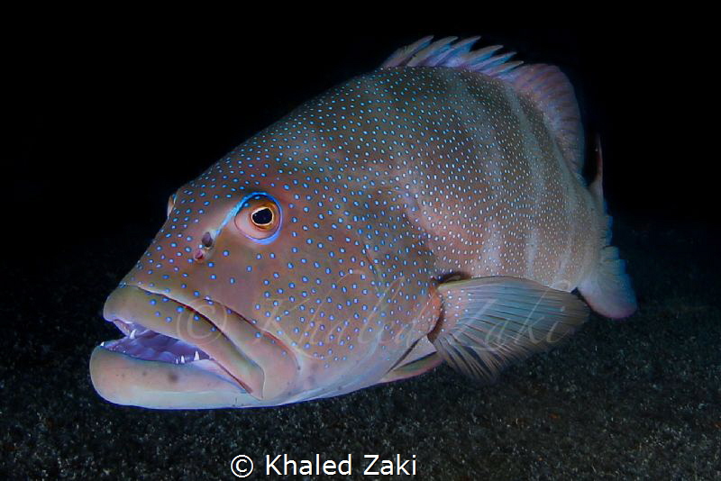 Fisheye to Fisheye by Khaled Zaki 