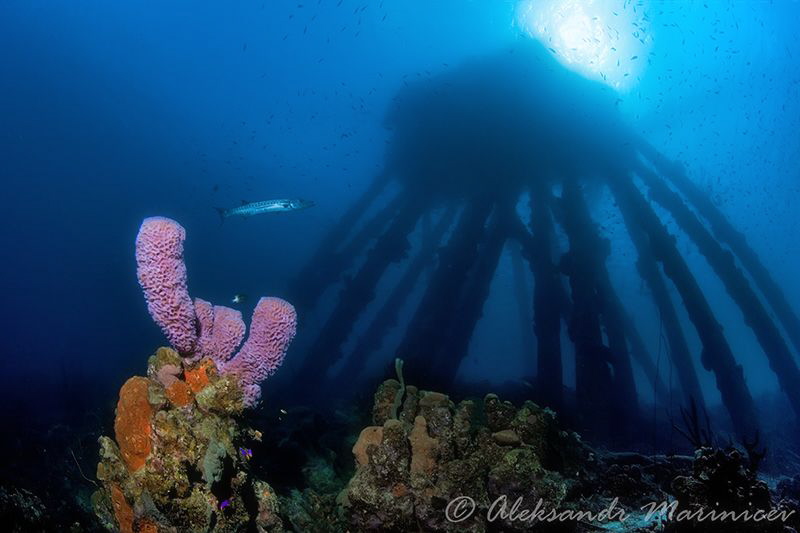 Salt Pier, Bonaire by Aleksandr Marinicev 