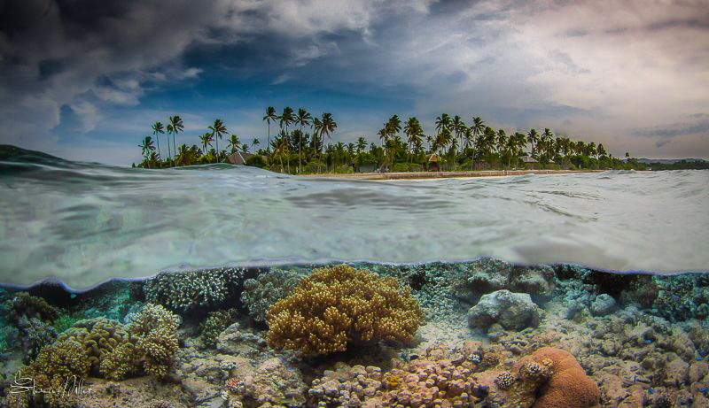 Wakatobi split by Steven Miller 
