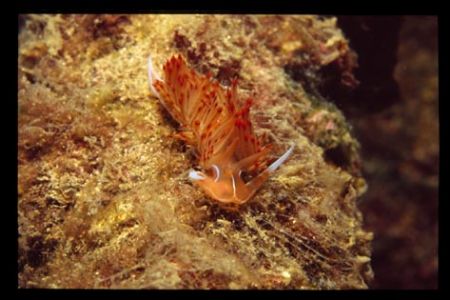 Foto is taken near the Kornati Islands in Croatia. by Andy Kutsch 