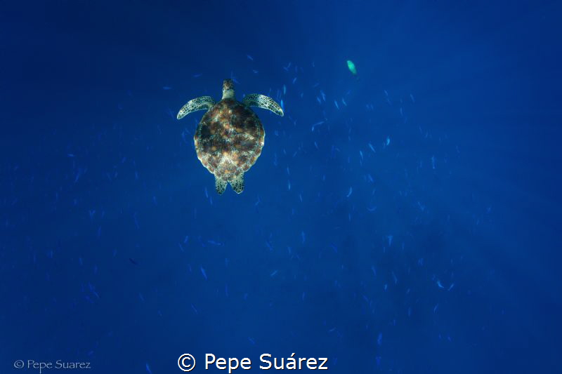 There is something about this photo I really like, I hope... by Pepe Suárez 
