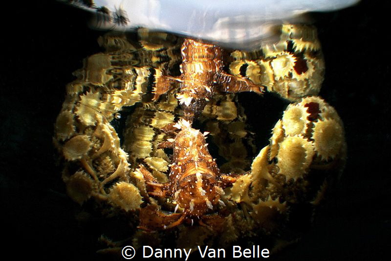 It was one of the most demanding efforts to shoot this sh... by Danny Van Belle 
