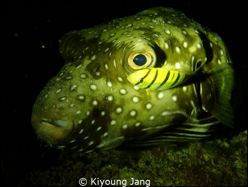 buddy~ by Kiyoung Jang 