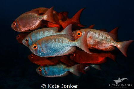 Let's stick together! by Kate Jonker 