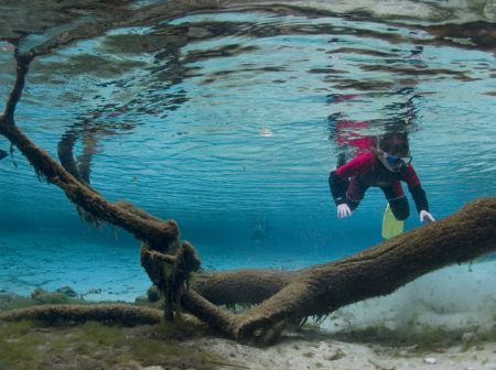 'Underwater tree and my daughter' from Crystal River (USA... by Istvan Juhasz 